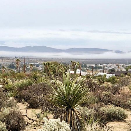 Cozy Desert Retreat With Amazing Views Only 4 Miles To Jtnp ジョシュア・ツリー エクステリア 写真