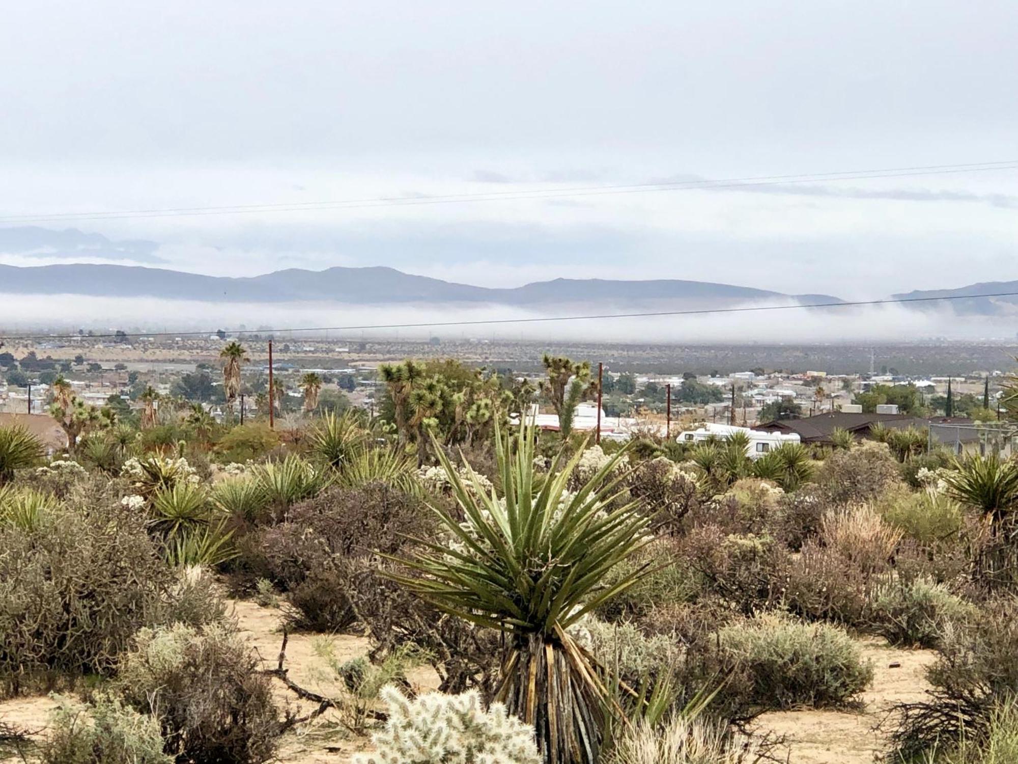 Cozy Desert Retreat With Amazing Views Only 4 Miles To Jtnp ジョシュア・ツリー エクステリア 写真